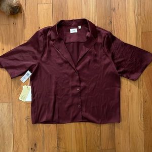 Aritzia Wilfred Beso Satin Shirt